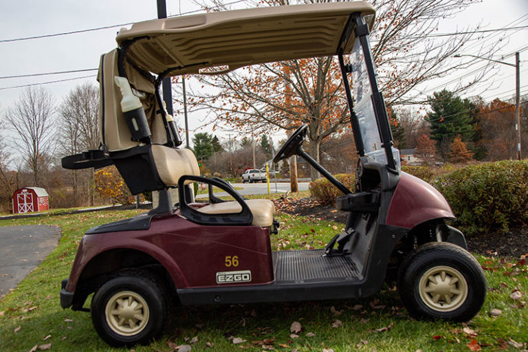 Golf Cars Unlimited 2015 EZGO RXV Gas Powered Golf Car