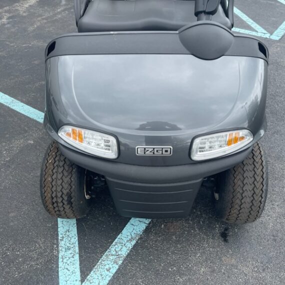 Golf Cars Unlimited 2019 EZGO RXV ELECTRIC POWERED