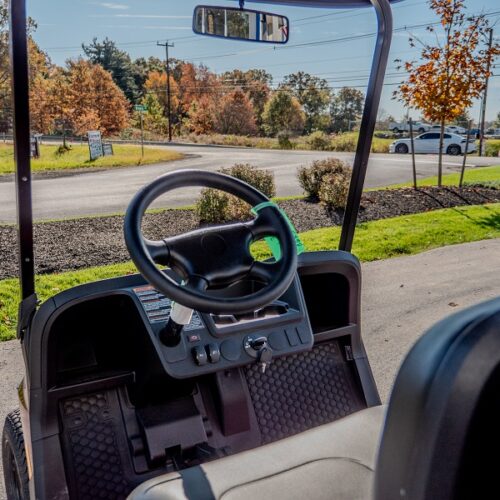 Golf Cars Unlimited 2024 EZGO VALOR 4 GAS POWERED